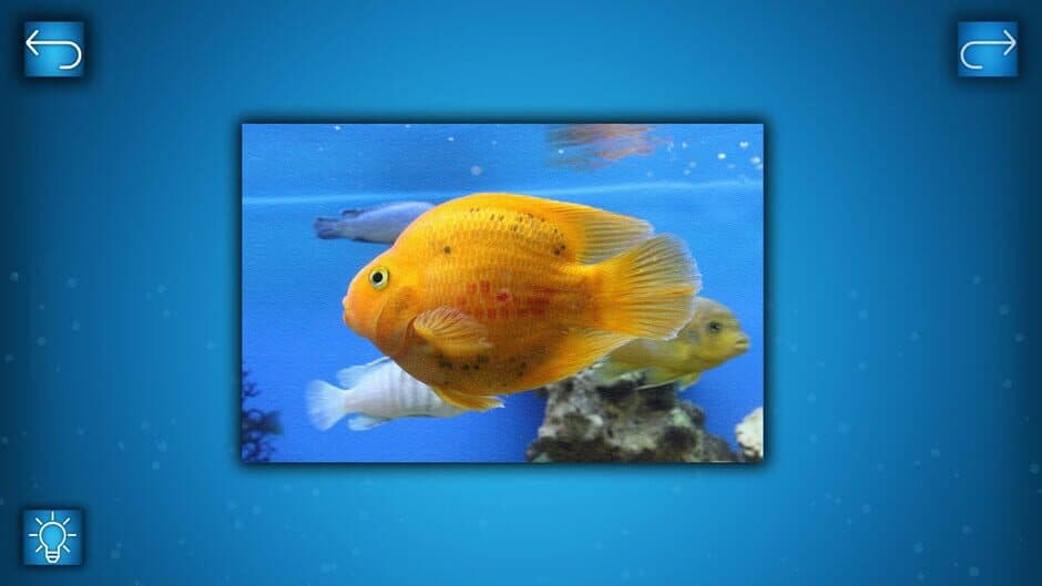 Скриншот 1 из Puzzle: Ocean - Puzzle Pack: Fish Pack