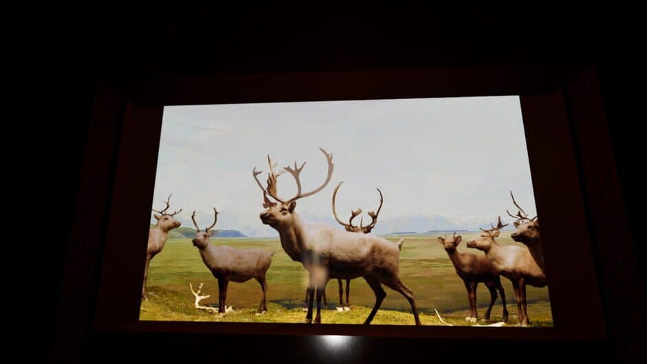 Скриншот 1 из Beyond the Diorama: Caribou World