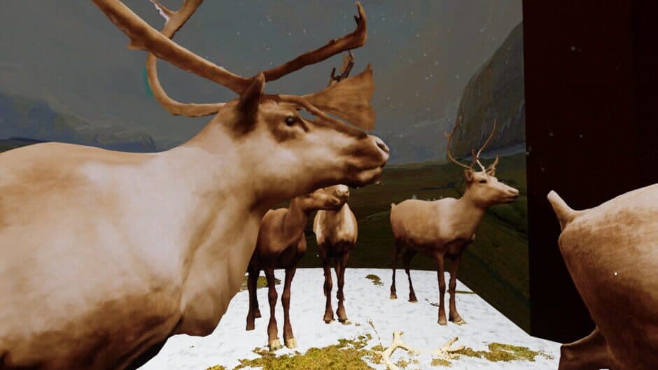 Скриншот 4 из Beyond the Diorama: Caribou World