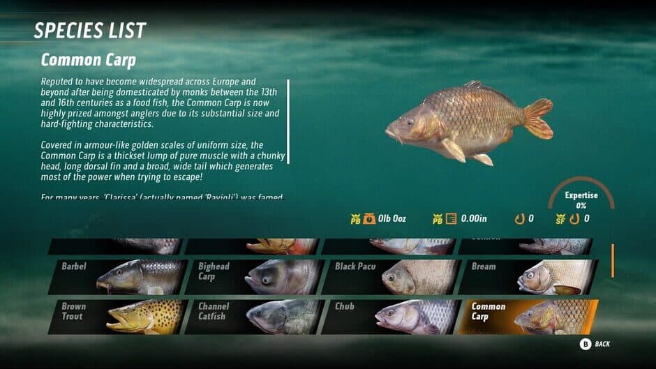 Скриншот 2 из The Catch: Carp & Coarse - Collector's Edition