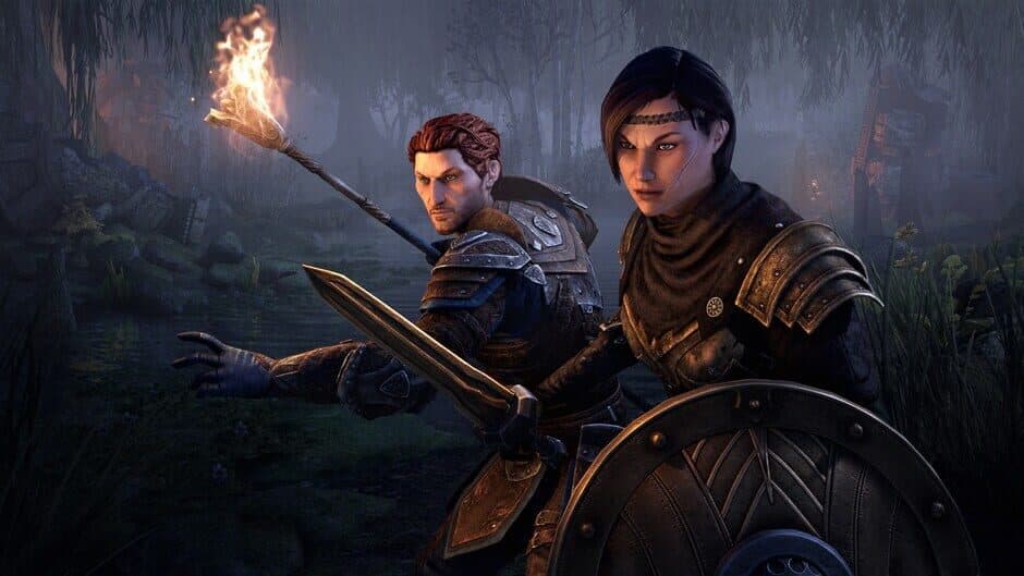 Скриншот 3 из The Elder Scrolls Online: Blackwood Collection