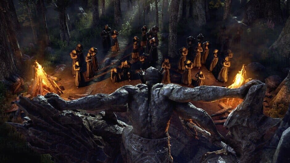 Скриншот 5 из The Elder Scrolls Online: Blackwood Collection