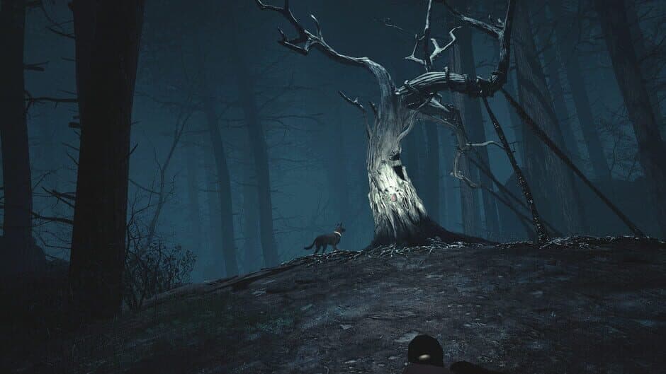 Скриншот 4 из Blair Witch VR