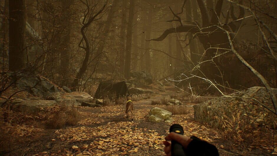 Скриншот 5 из Blair Witch VR