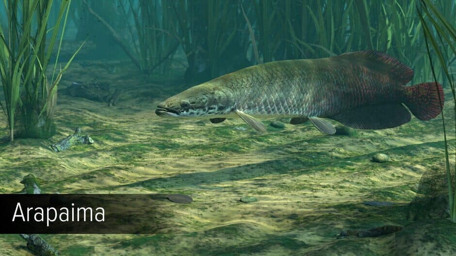 Скриншот 4 из Ultimate Fishing Simulator: Amazon River DLC