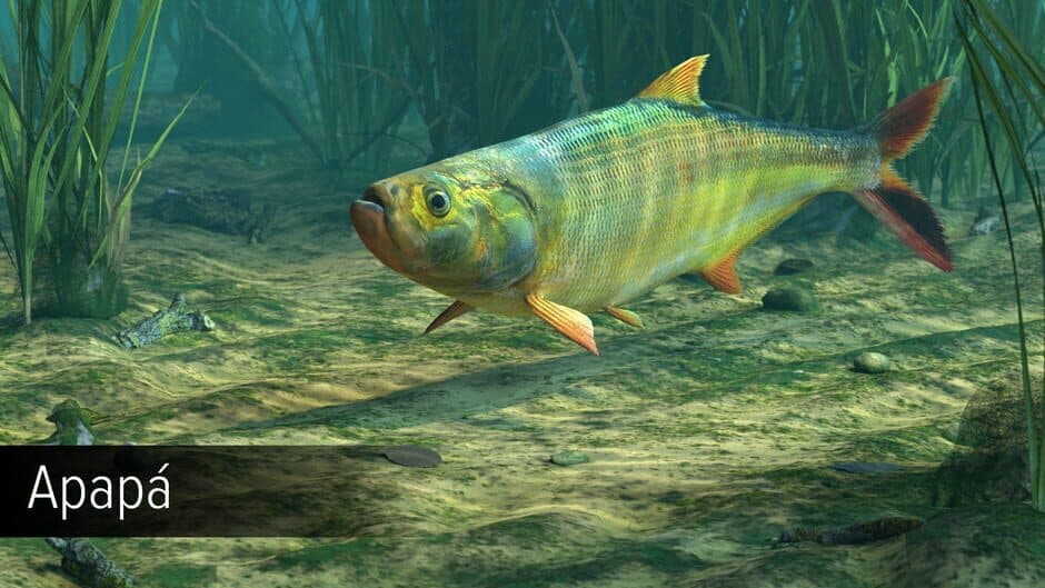 Скриншот 7 из Ultimate Fishing Simulator: Amazon River DLC