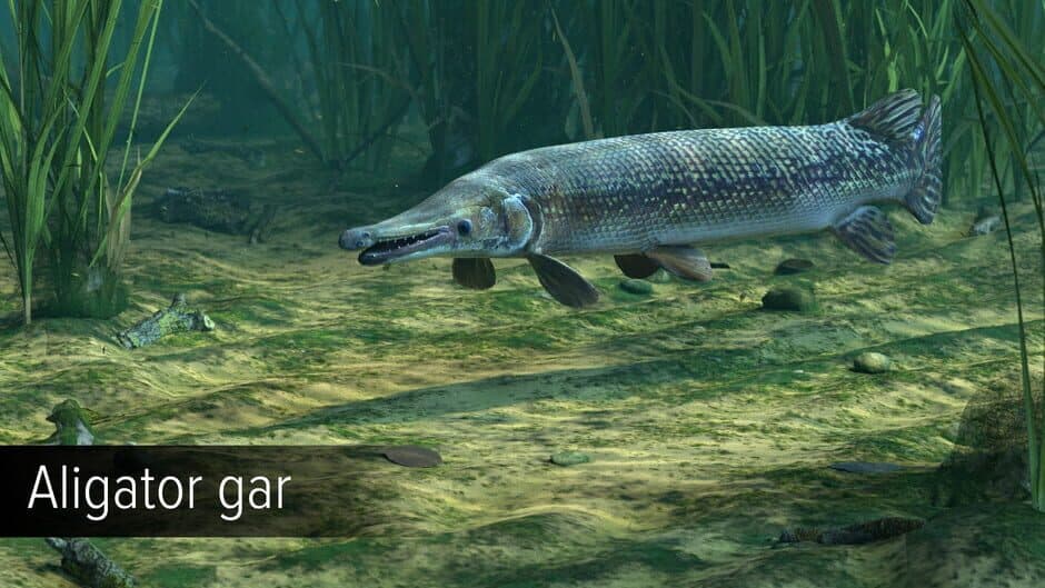Скриншот 8 из Ultimate Fishing Simulator: Amazon River DLC
