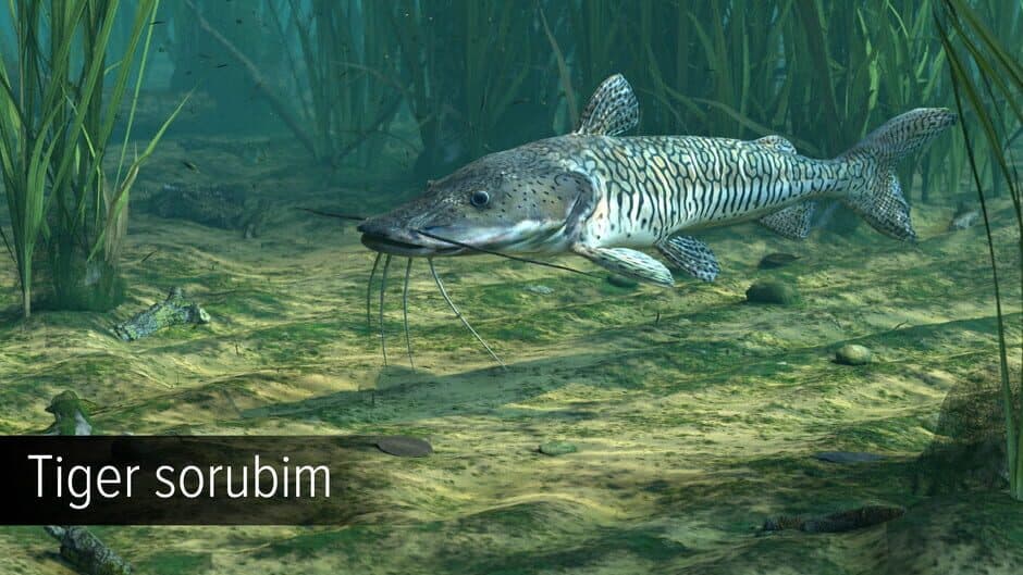 Скриншот 11 из Ultimate Fishing Simulator: Amazon River DLC