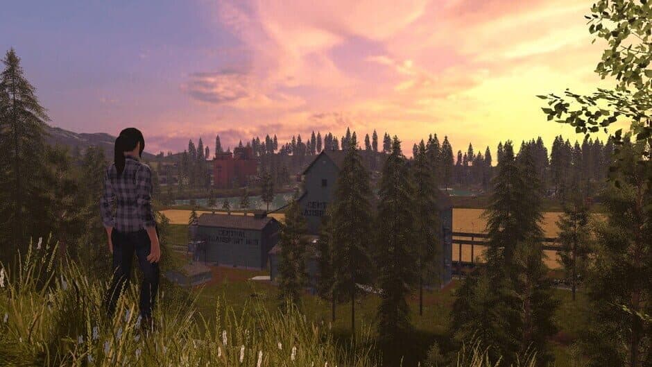 Скриншот 3 из Farming Simulator 17: Premium Digital Edition