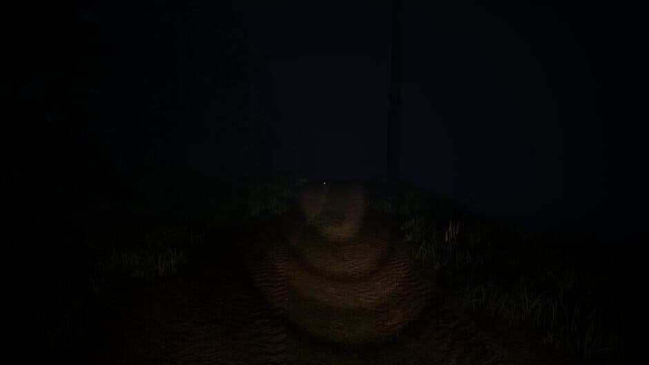 Скриншот 4 из Strange Midnight