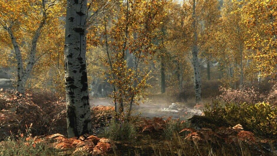 Скриншот 7 из Skyrim Special Edition + Fallout 4 G.O.T.Y Bundle