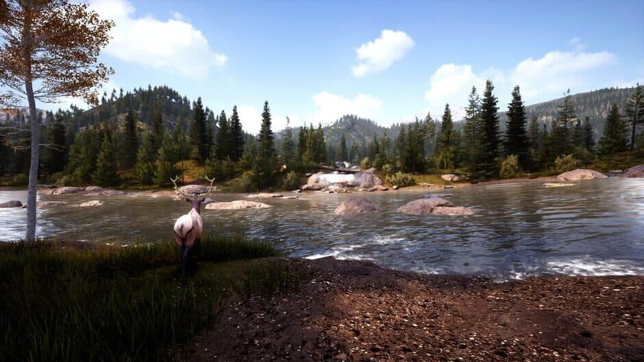 Скриншот 2 из Hunting Simulator 2: Elite Edition