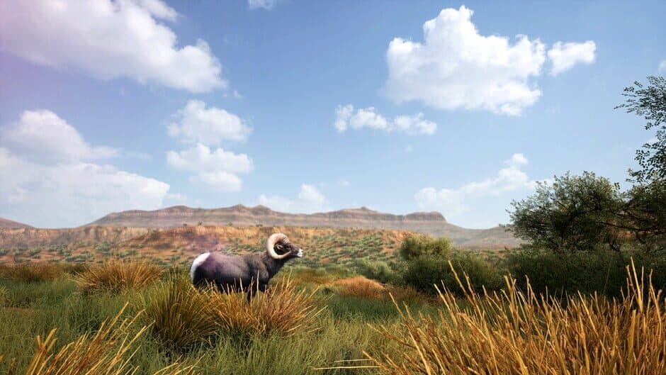 Скриншот 1 из Hunting Simulator 2: Elite Edition