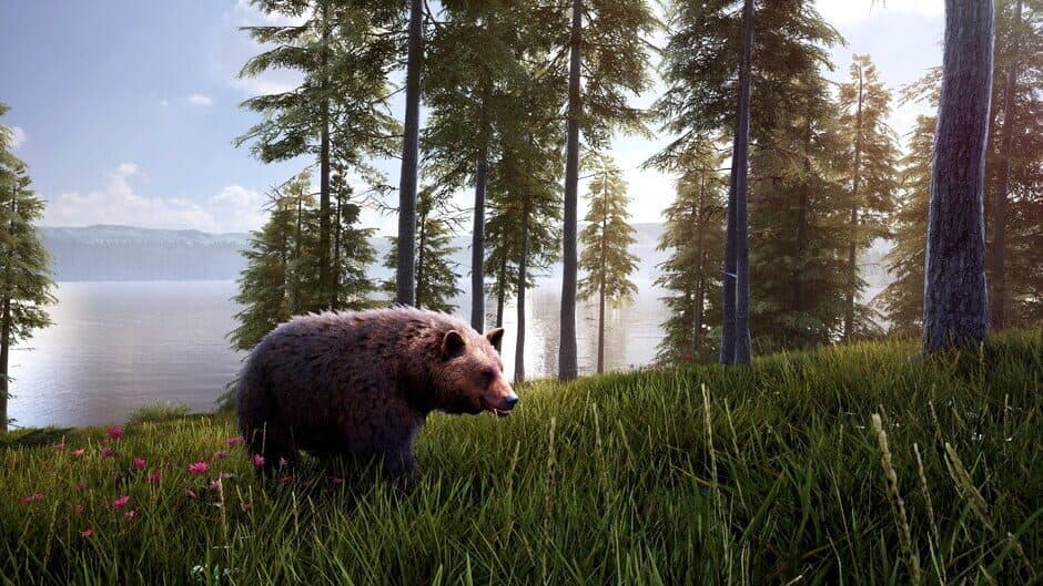Скриншот 5 из Hunting Simulator 2: Bear Hunter Edition