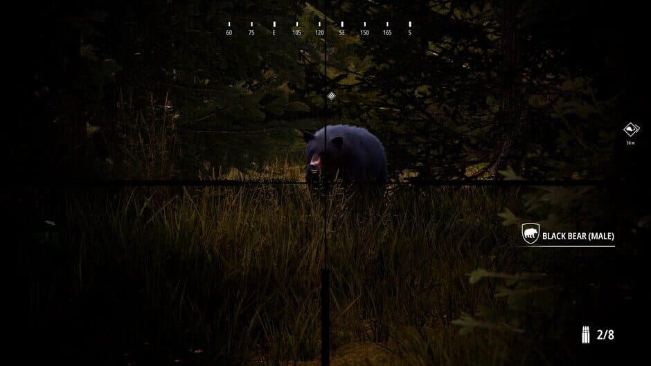 Скриншот 2 из Hunting Simulator 2: Bear Hunter Edition