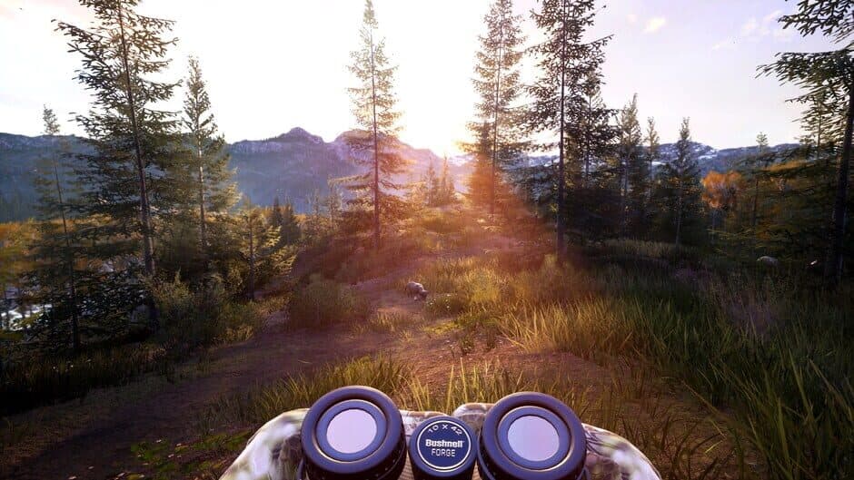 Скриншот 8 из Hunting Simulator 2: Bear Hunter Edition