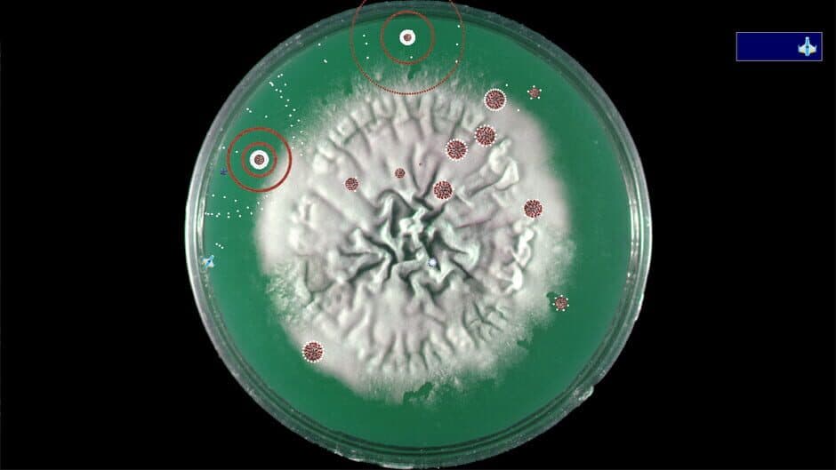 Скриншот 6 из Coronavirus: Nano Force
