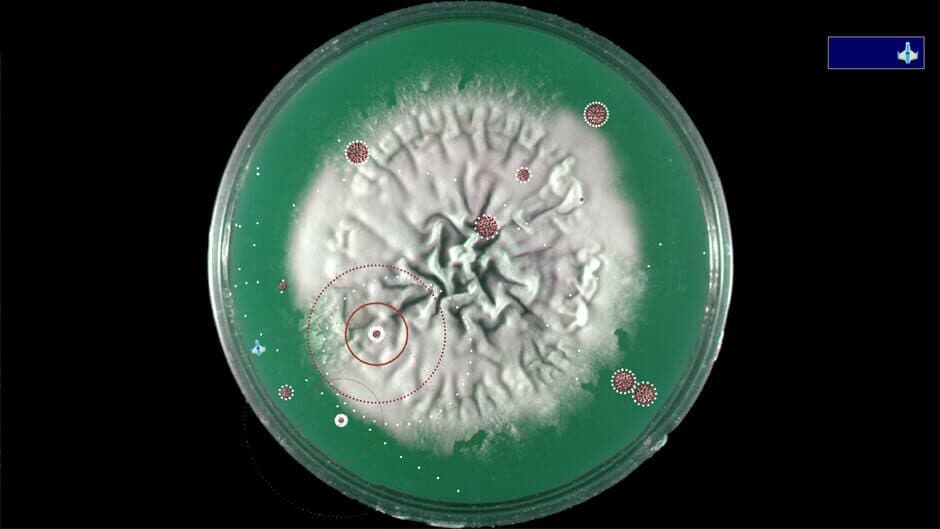 Скриншот 7 из Coronavirus: Nano Force