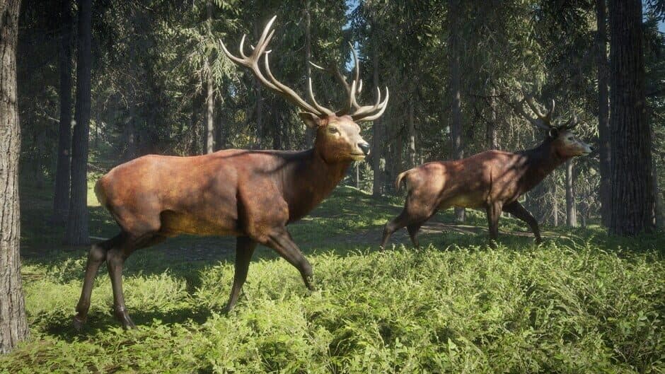 Скриншот 2 из TheHunter: Call of the Wild - 2019 Edition
