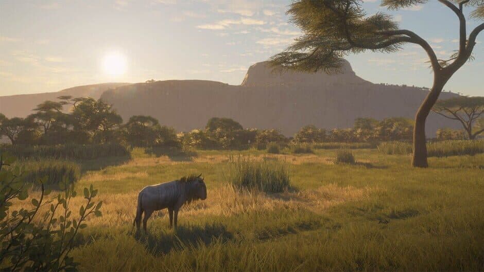 Скриншот 3 из TheHunter: Call of the Wild - 2019 Edition