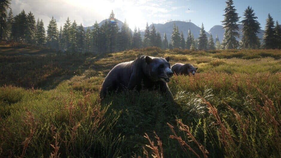 Скриншот 7 из TheHunter: Call of the Wild - 2019 Edition