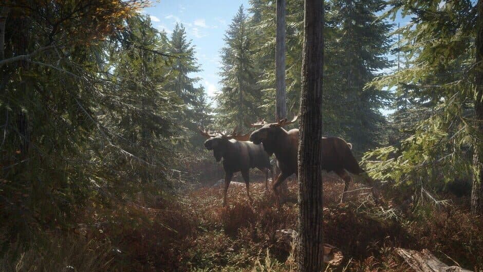 Скриншот 1 из TheHunter: Call of the Wild - 2019 Edition