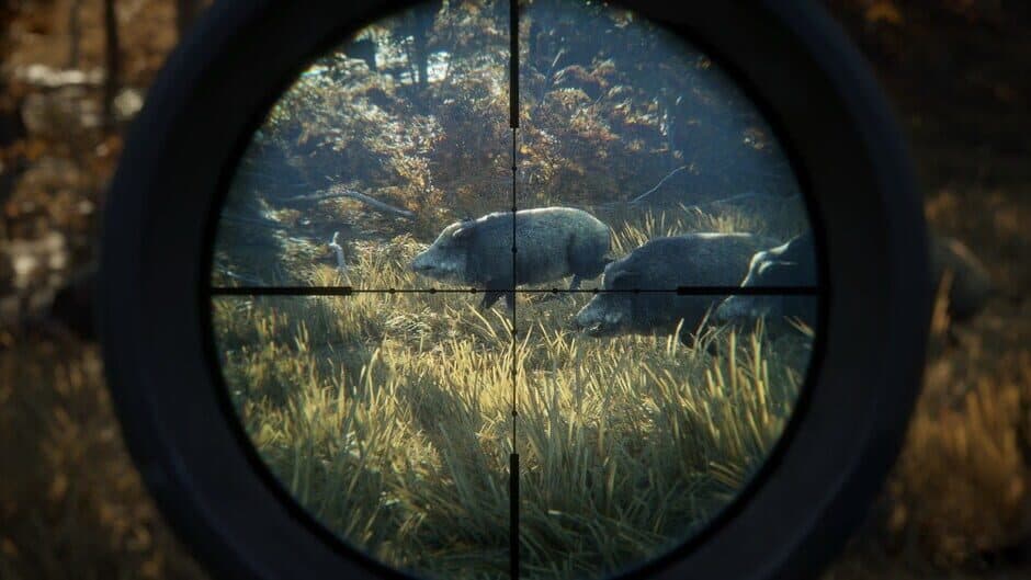 Скриншот 9 из TheHunter: Call of the Wild - 2019 Edition