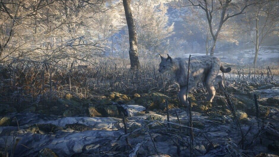 Скриншот 10 из TheHunter: Call of the Wild - 2019 Edition