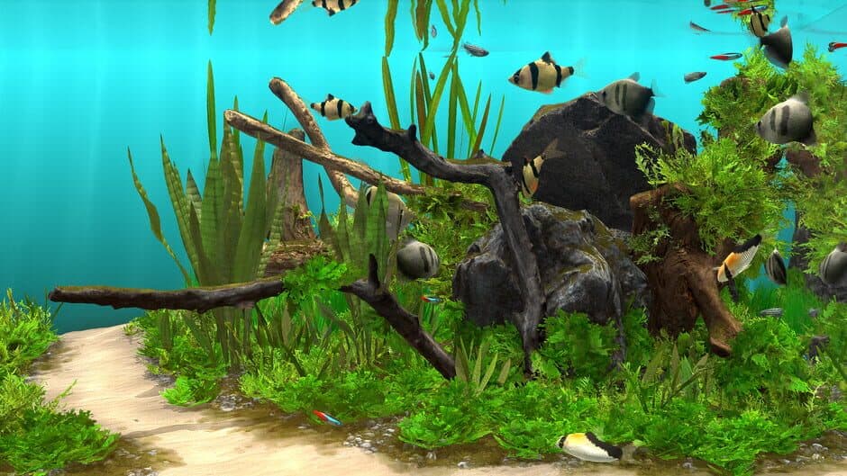 Скриншот 3 из Behind Glass: Aquarium Simulator