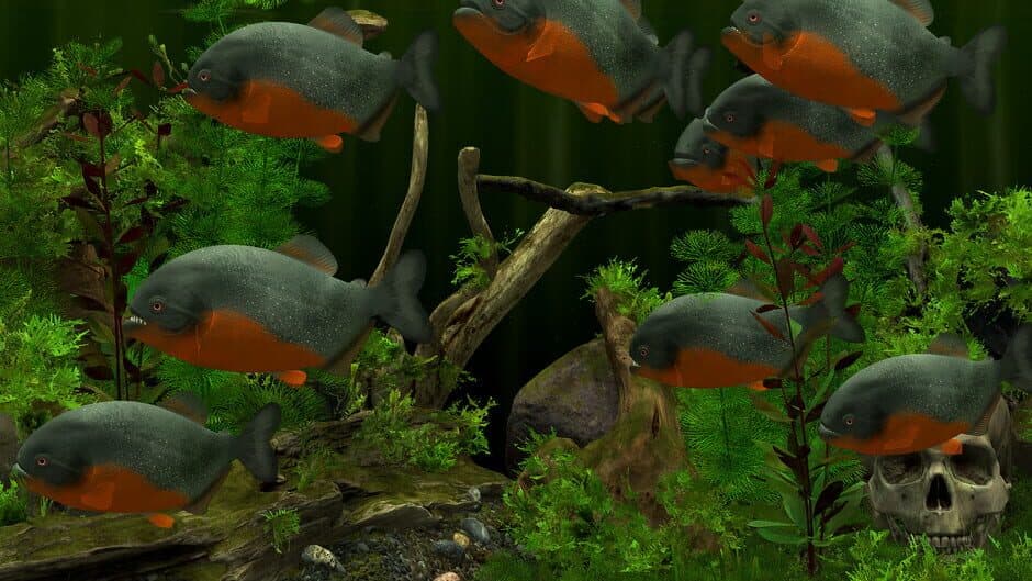 Скриншот 1 из Behind Glass: Aquarium Simulator
