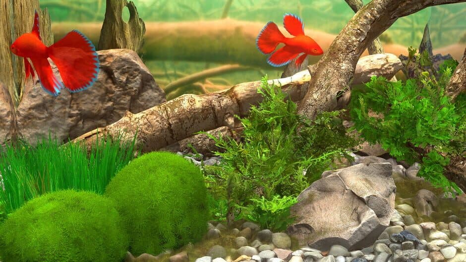 Скриншот 8 из Behind Glass: Aquarium Simulator