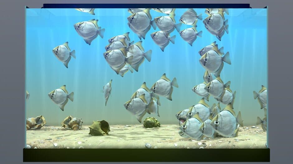 Скриншот 9 из Behind Glass: Aquarium Simulator