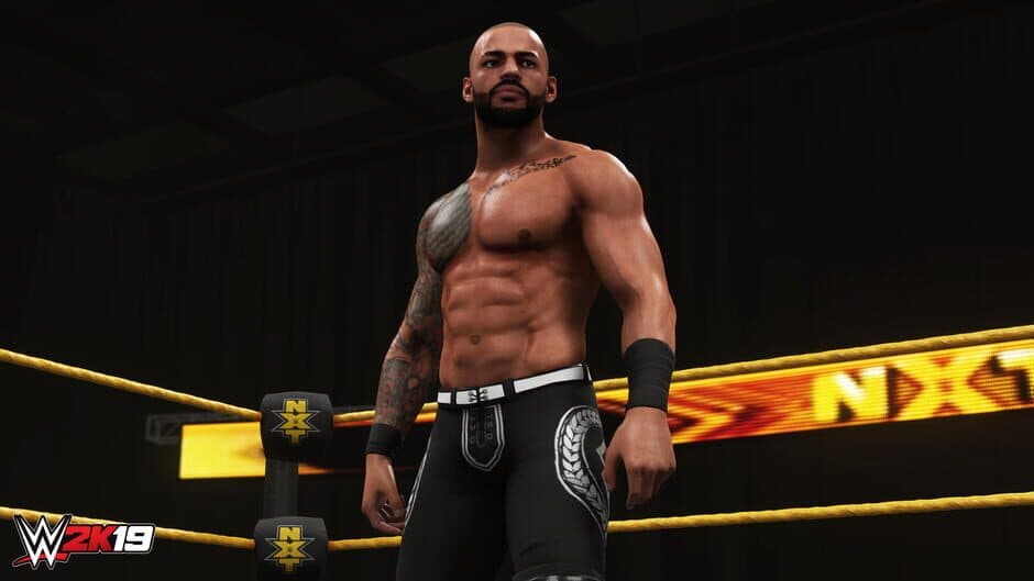 Скриншот 1 из WWE 2K19: Rising Stars