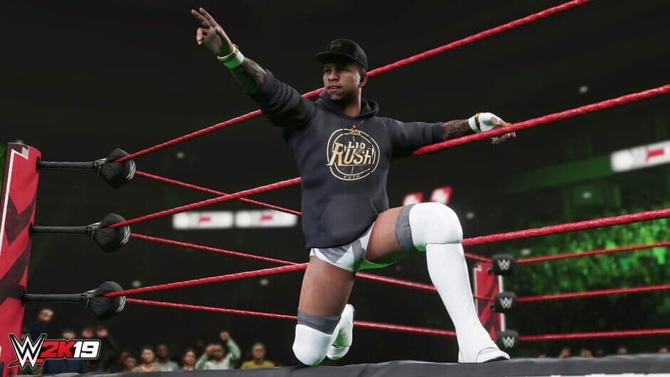 Скриншот 3 из WWE 2K19: Rising Stars