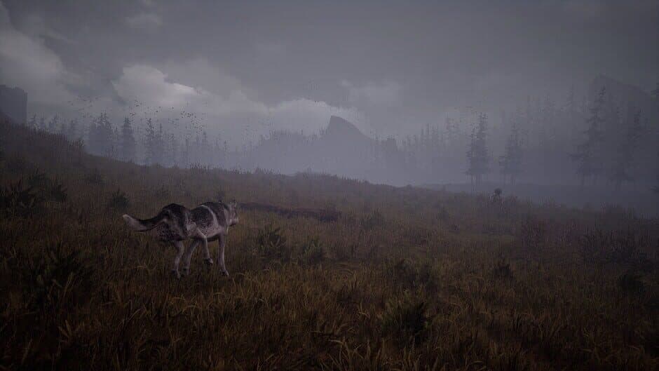 Скриншот 5 из Wandering Wolf