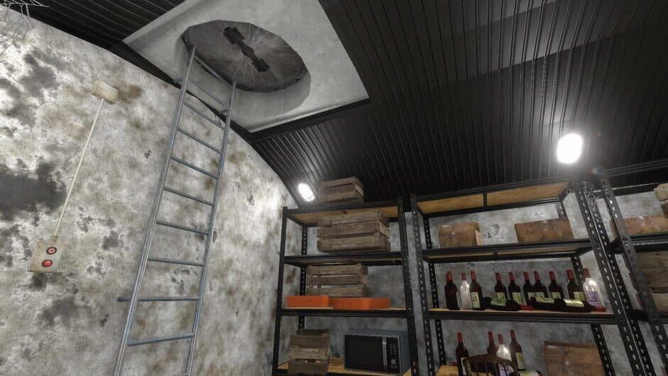 Скриншот 3 из House Flipper: Apocalypse