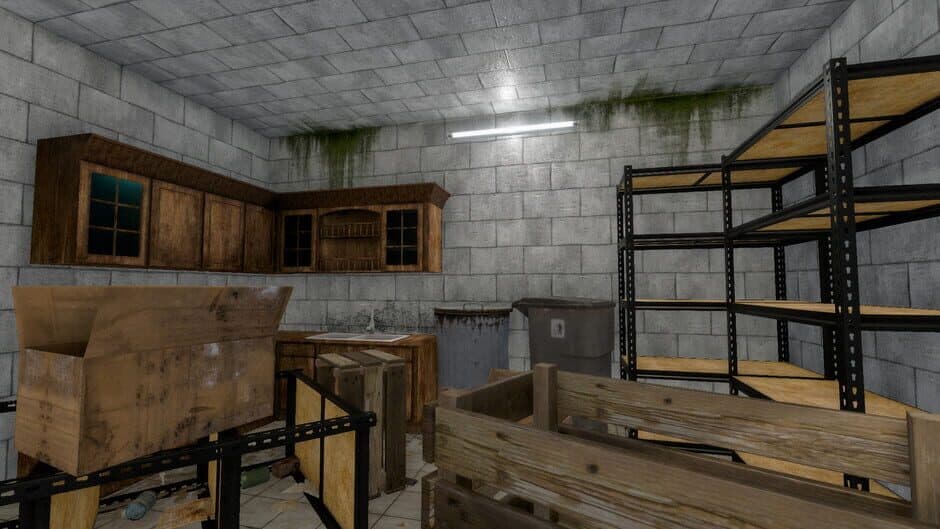 Скриншот 1 из House Flipper: Apocalypse