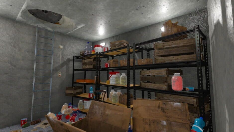 Скриншот 5 из House Flipper: Apocalypse