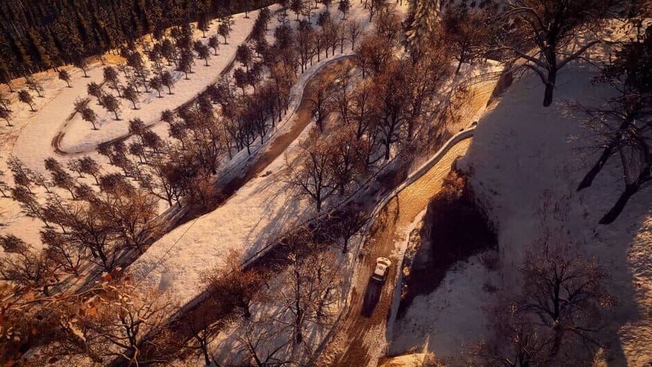 Скриншот 1 из DiRT Rally 2.0: Monte Carlo (Rally Location)