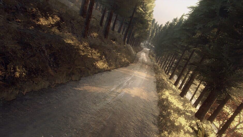 Скриншот 3 из Dirt Rally 2.0: Colin McRae - Flat Out Pack