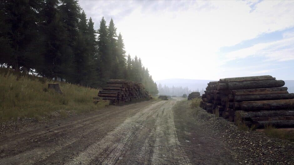 Скриншот 4 из DiRT Rally 2.0: Wales (Rally Location)