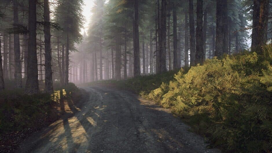Скриншот 9 из DiRT Rally 2.0: Wales (Rally Location)