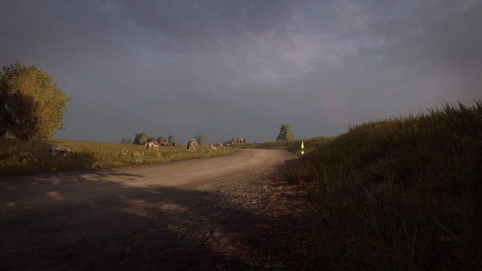 Скриншот 1 из DiRT Rally 2.0: Germany (Rally Location)