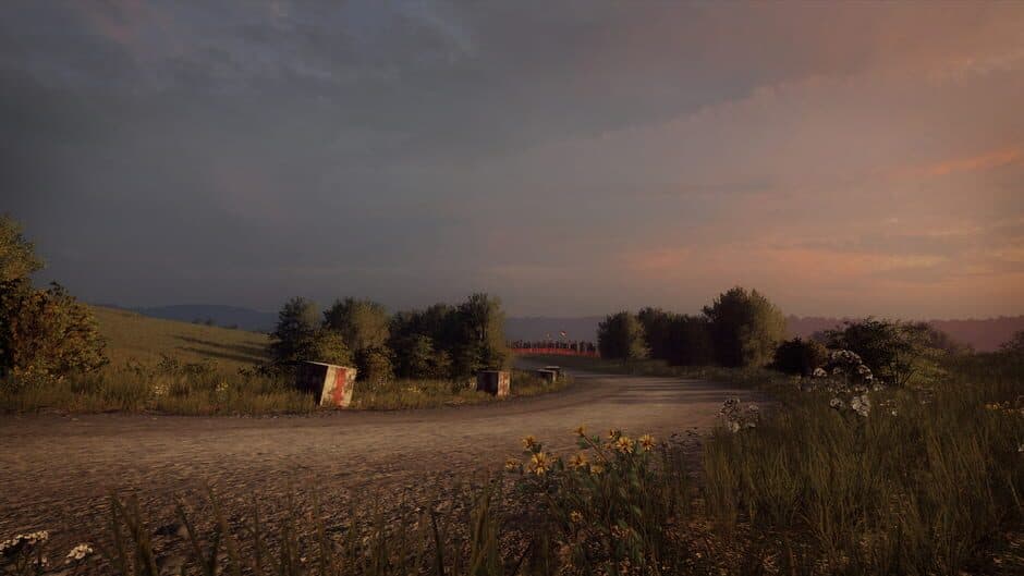Скриншот 3 из DiRT Rally 2.0: Germany (Rally Location)