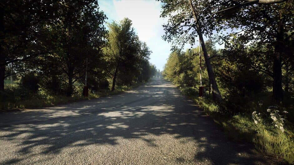 Скриншот 5 из DiRT Rally 2.0: Germany (Rally Location)