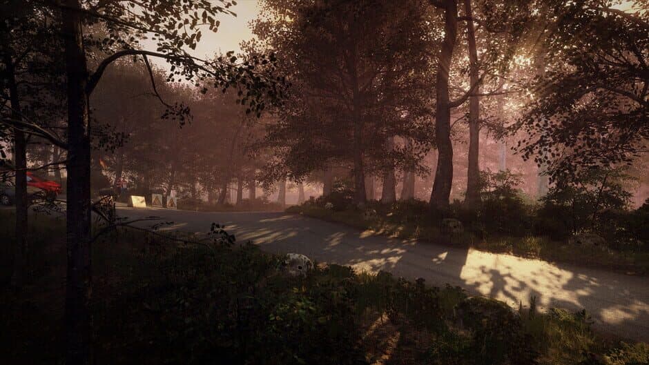 Скриншот 7 из DiRT Rally 2.0: Germany (Rally Location)