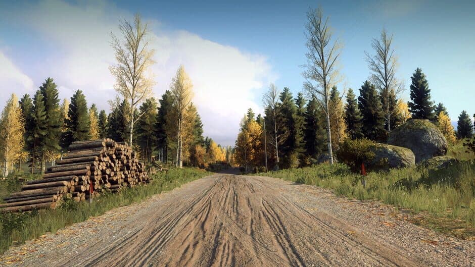 Скриншот 1 из DiRT Rally 2.0: Finland (Rally Location)