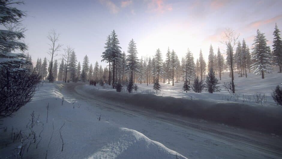 Скриншот 2 из DiRT Rally 2.0: Sweden (Rally Location)