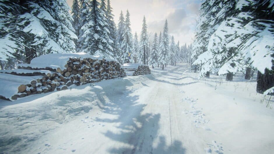 Скриншот 3 из DiRT Rally 2.0: Sweden (Rally Location)