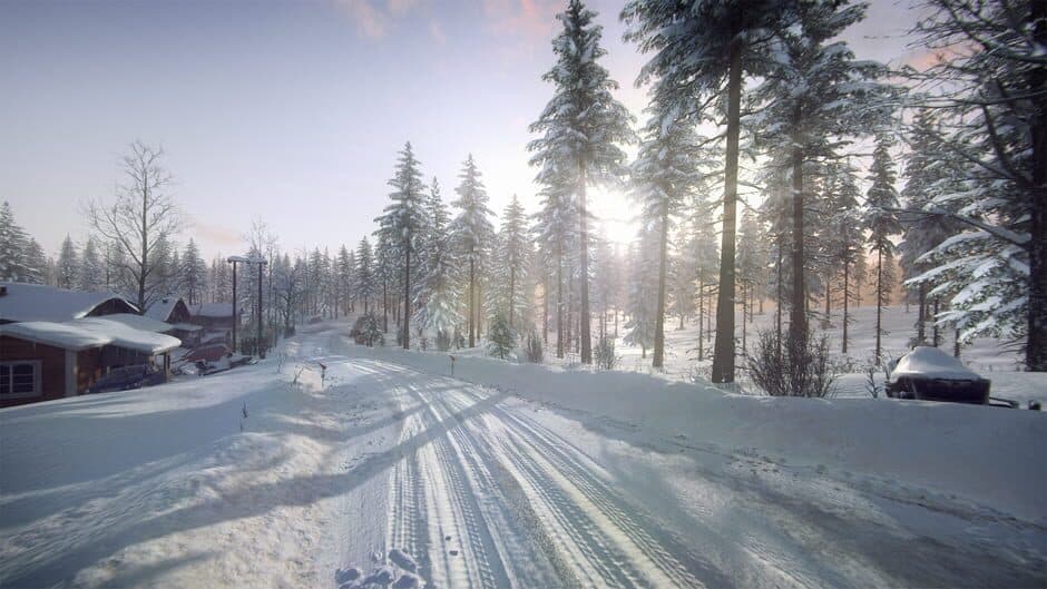 Скриншот 4 из DiRT Rally 2.0: Sweden (Rally Location)